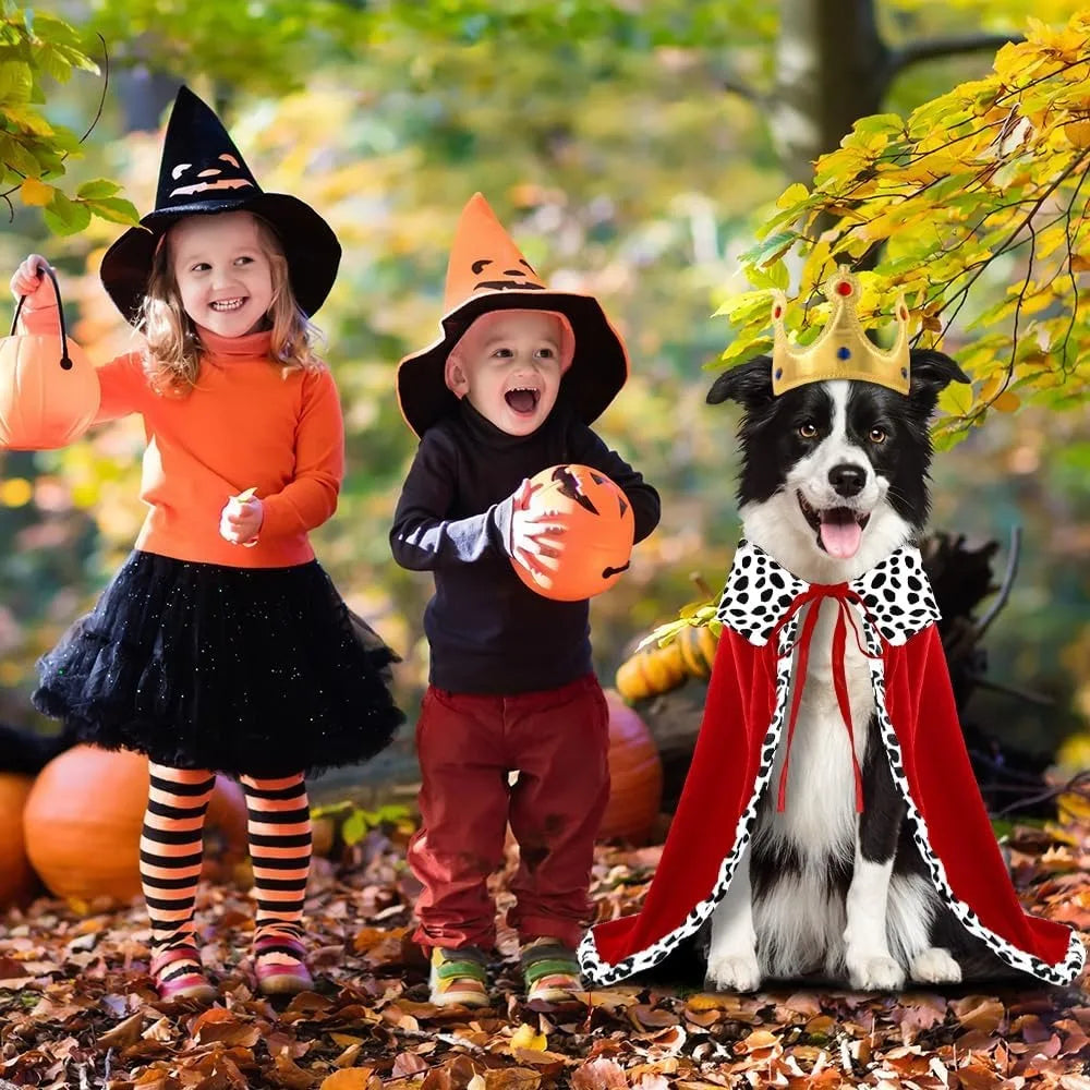 Halloween Dog King Cloak Costume