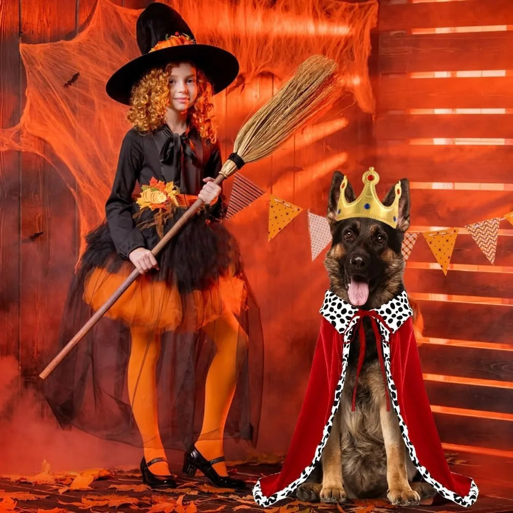 Halloween Dog King Cloak Costume
