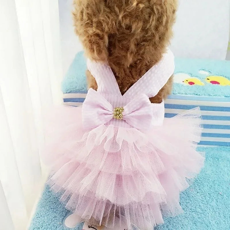 Spring Pet Summer Bowknot Pet