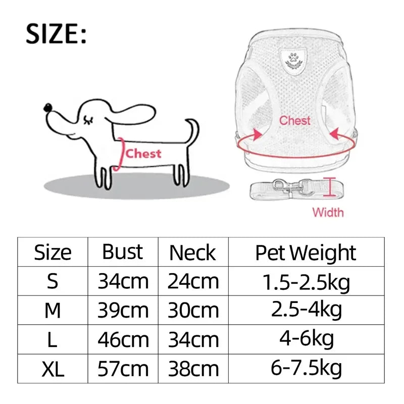 PupWalk Mesh