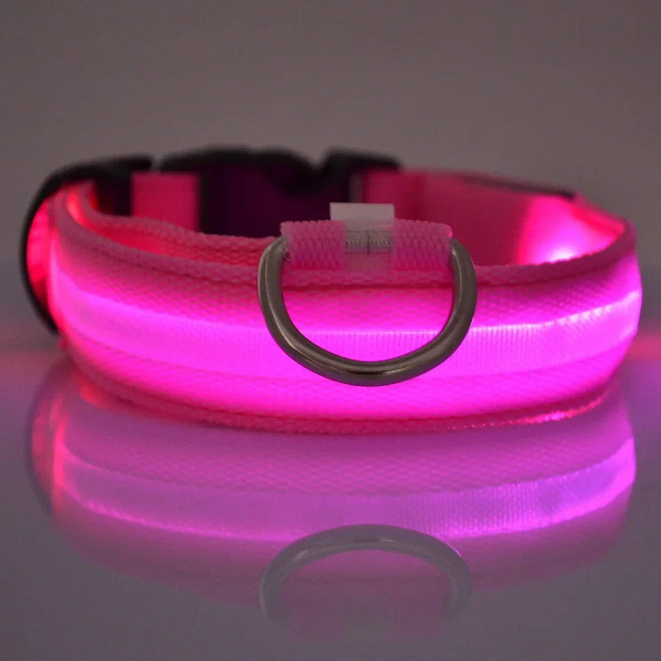 NightGlow Pet Leash
