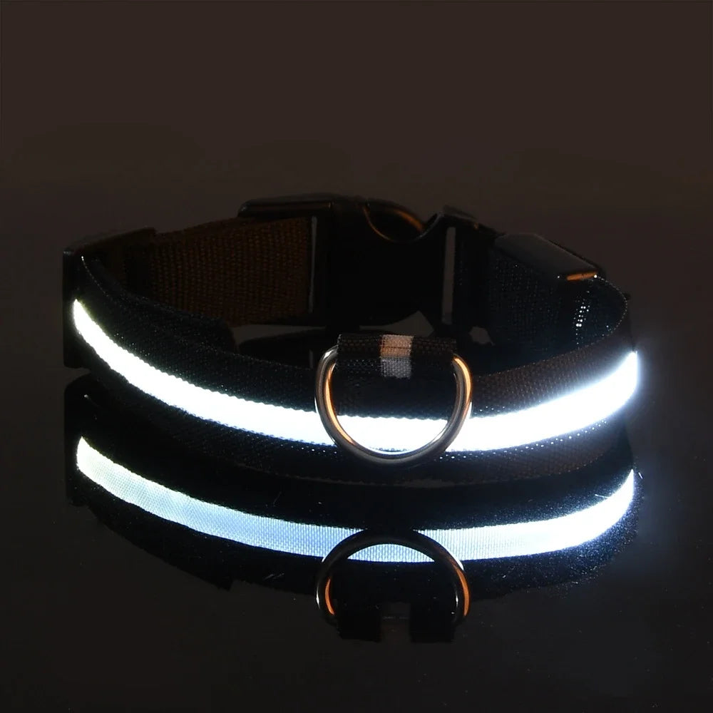 NightGlow Pet Leash