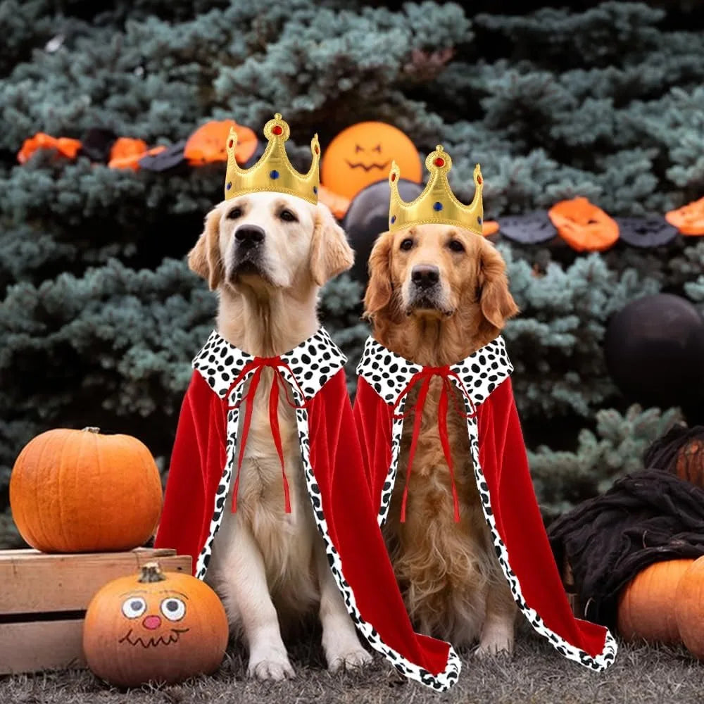 Halloween Dog King Cloak Costume