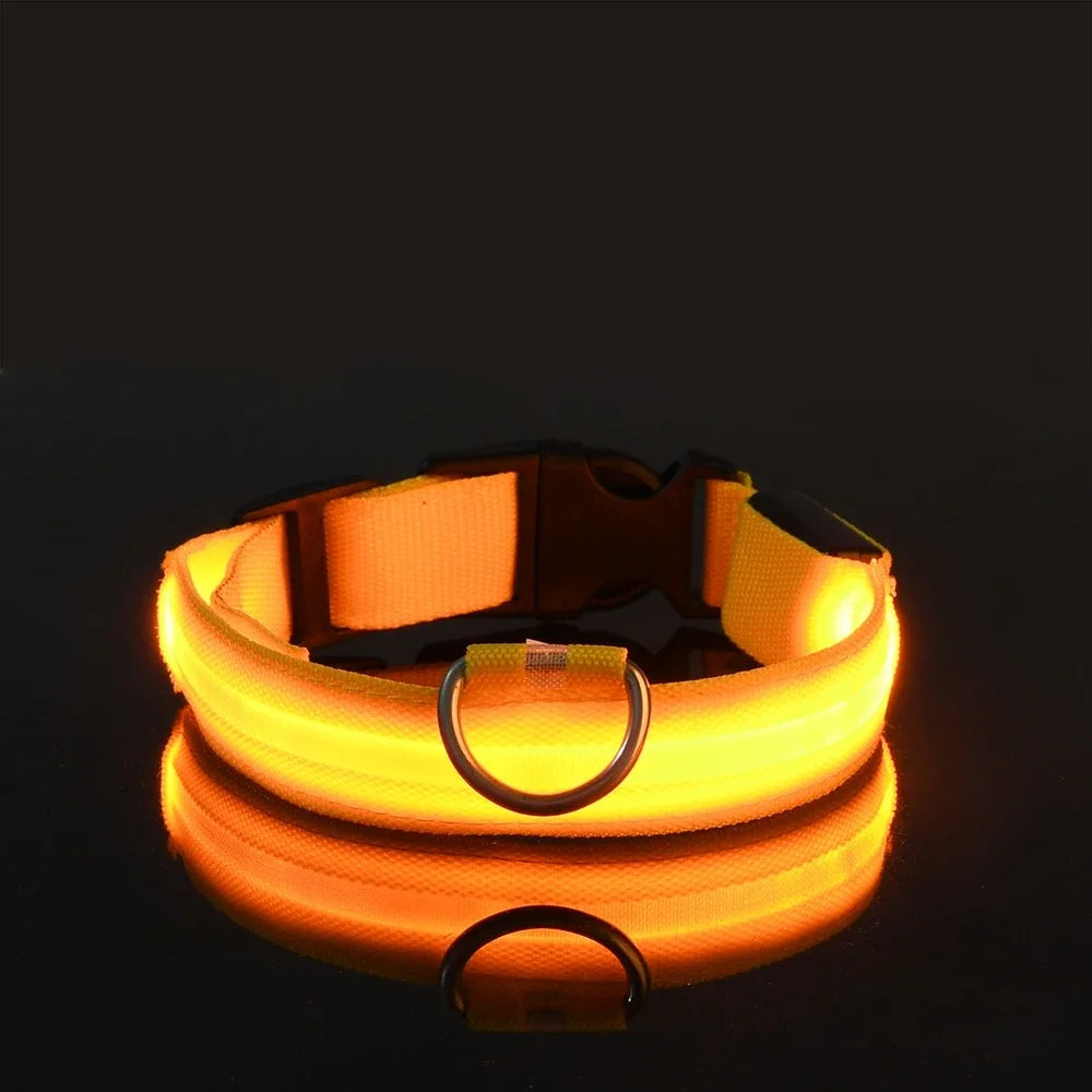 NightGlow Pet Leash