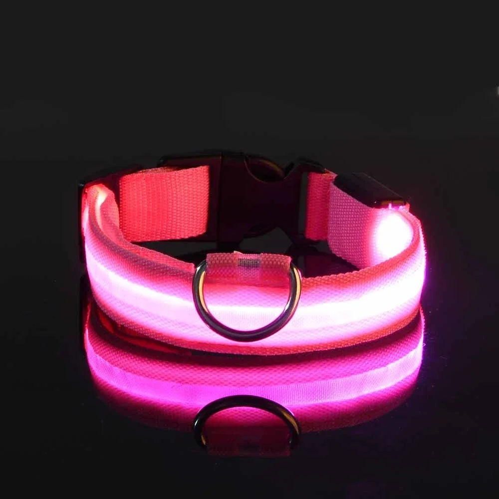 NightGlow Pet Leash