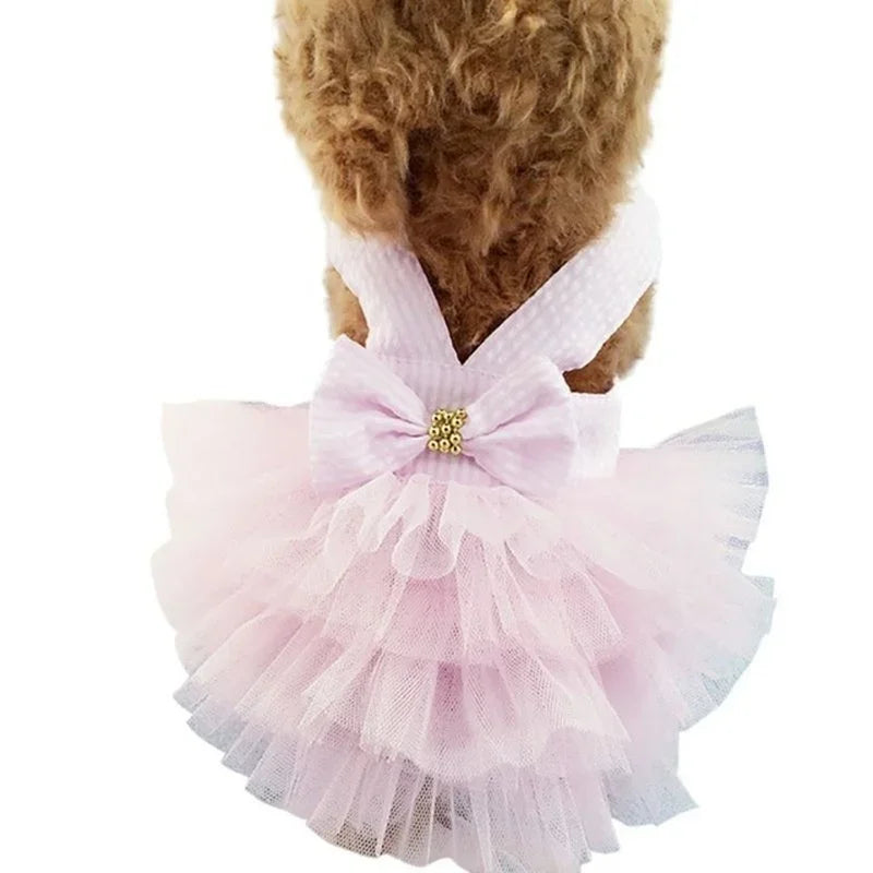 Spring Pet Summer Bowknot Pet