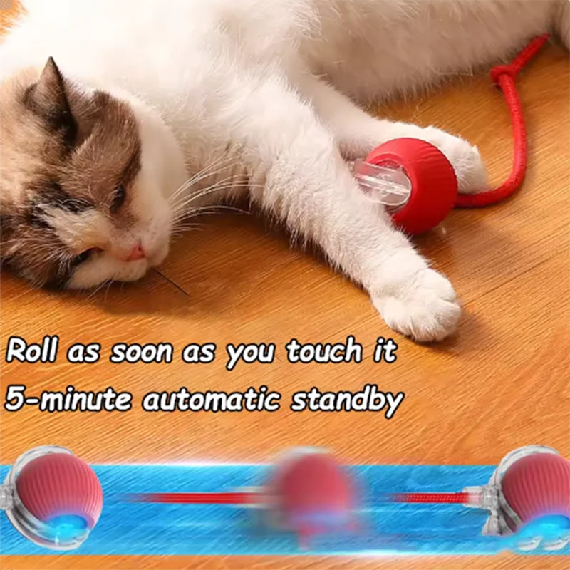 Self-Exciting Cat Toy Duo