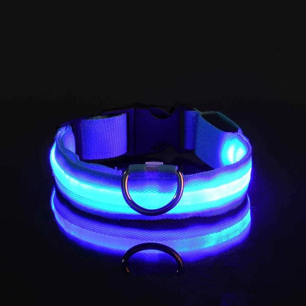 NightGlow Pet Leash