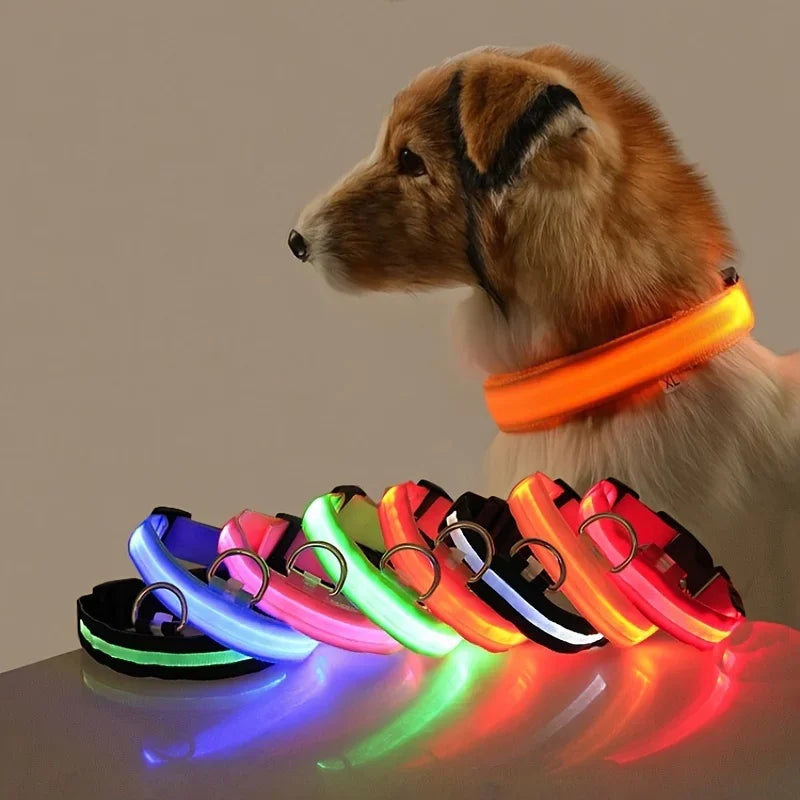 NightGlow Pet Leash