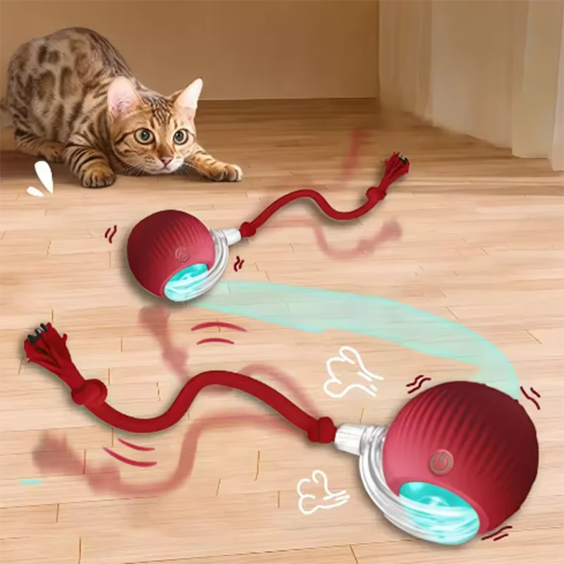 Self-Exciting Cat Toy Duo