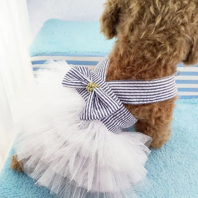 Spring Pet Summer Bowknot Pet