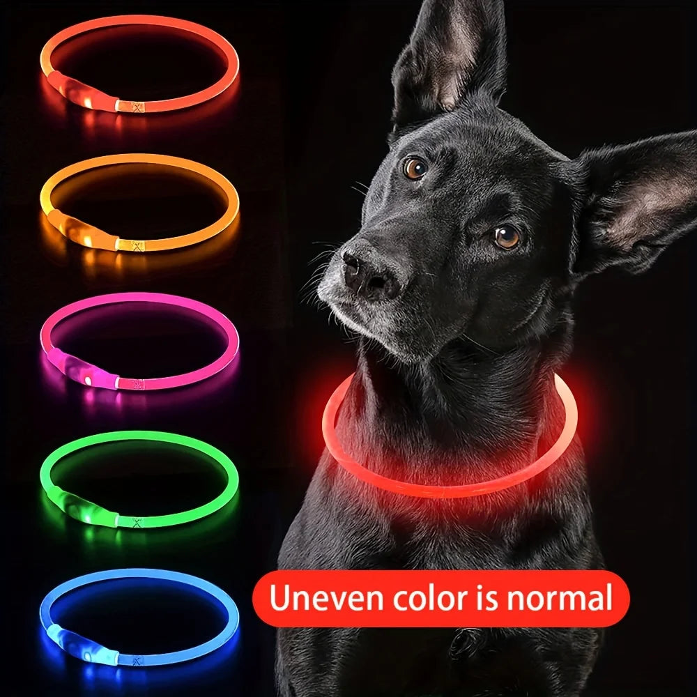 Glow Pup Collar