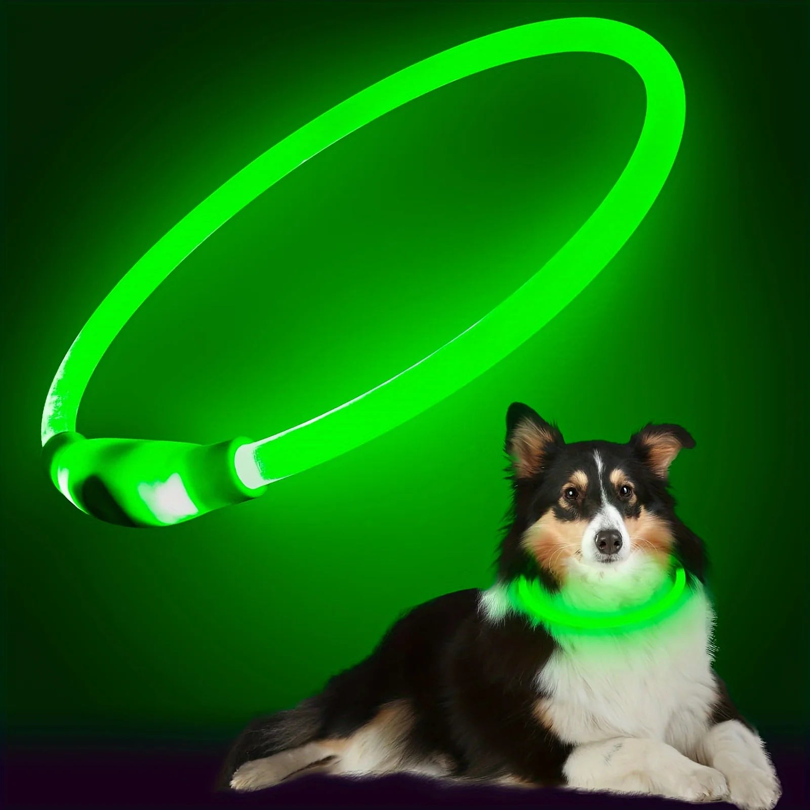 Glow Pup Collar