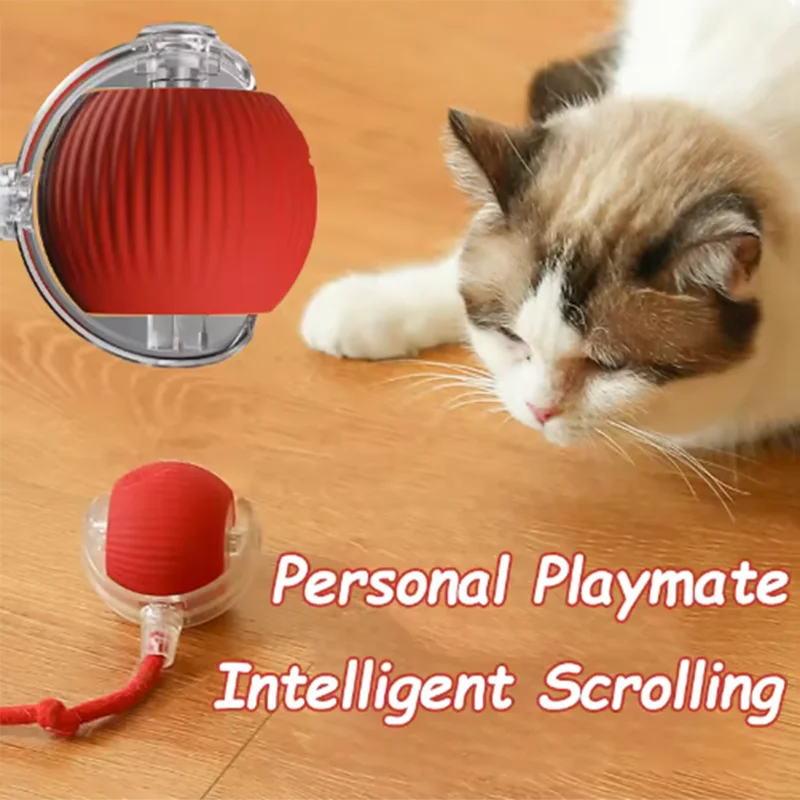 Self-Exciting Cat Toy Duo