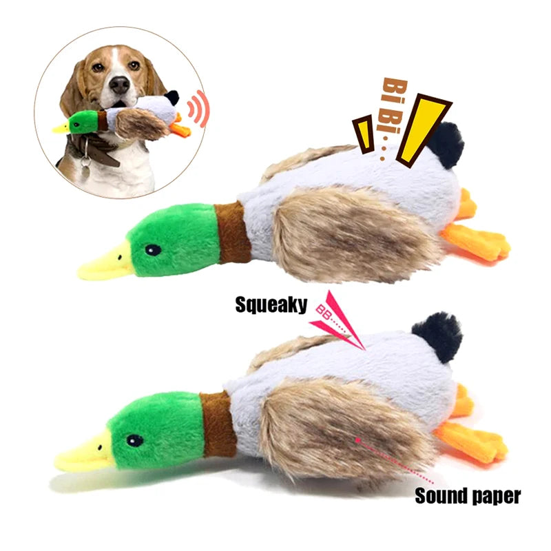 SqueakyDuck Plush