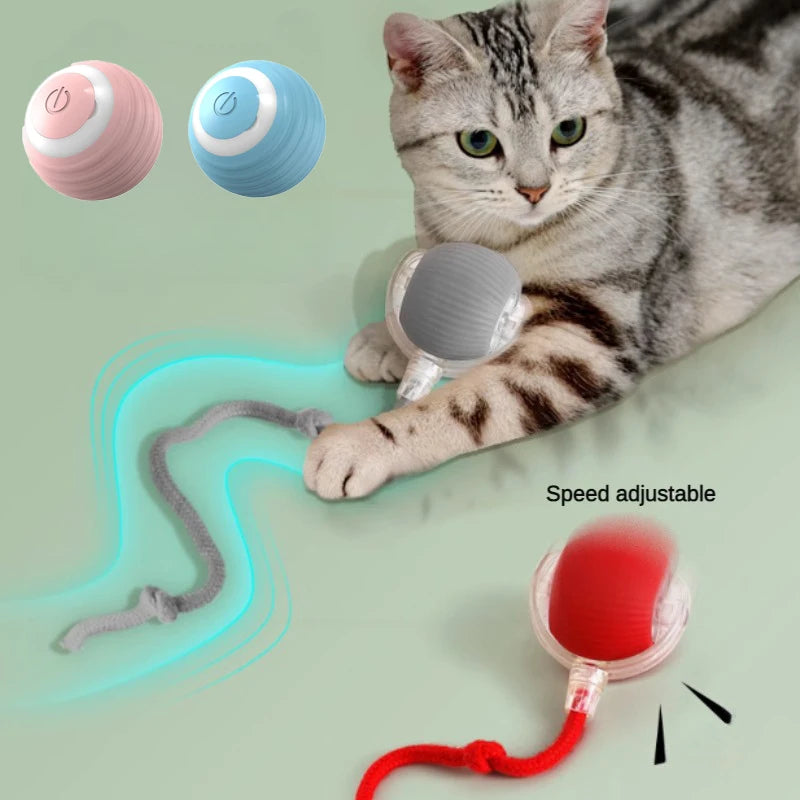 MeowMotion Ball