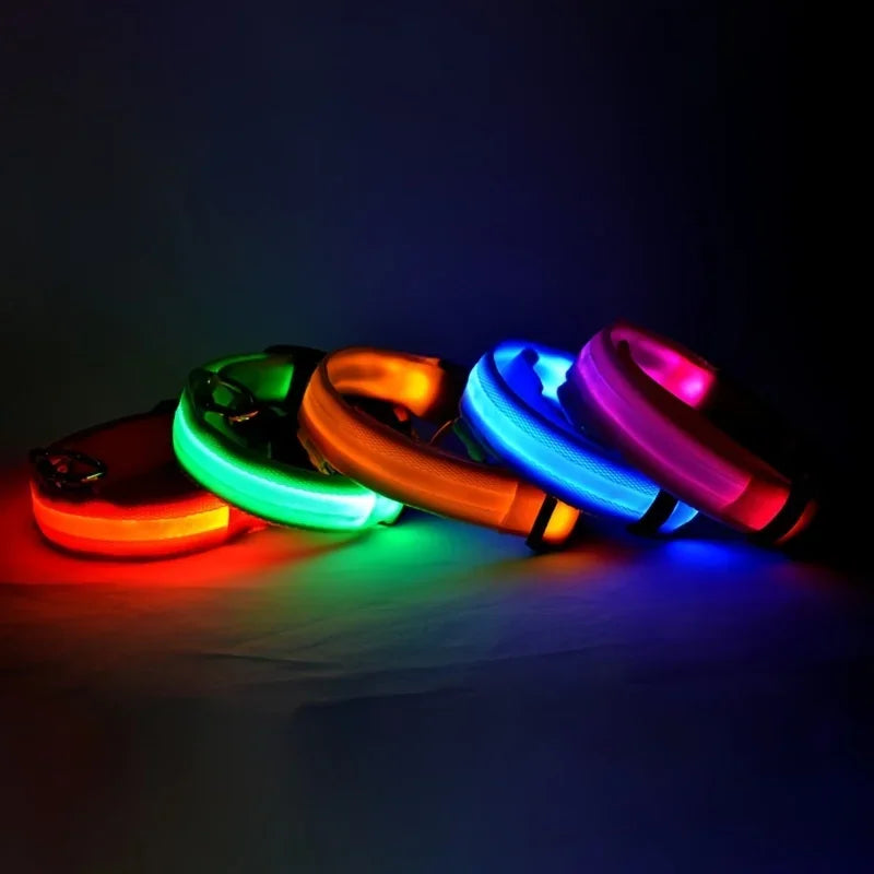 NightGlow Pet Leash