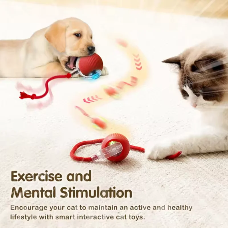 Durabounce Smart Pet Toy