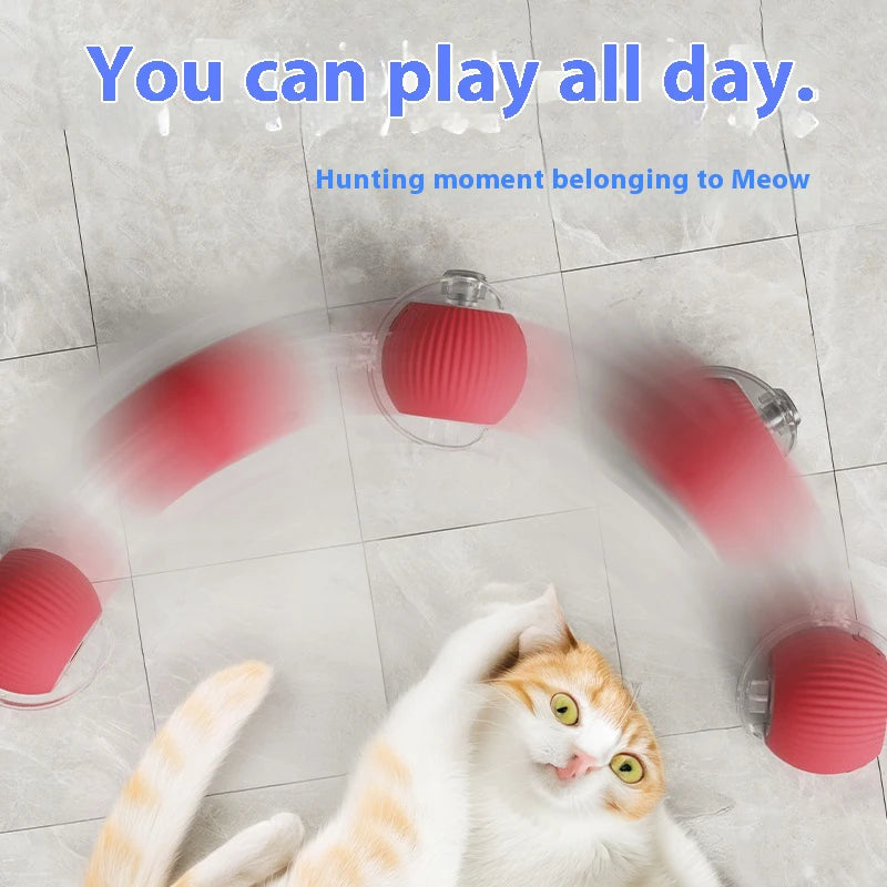MeowMotion Ball