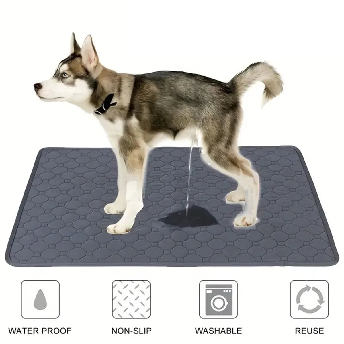 PawDry Mat