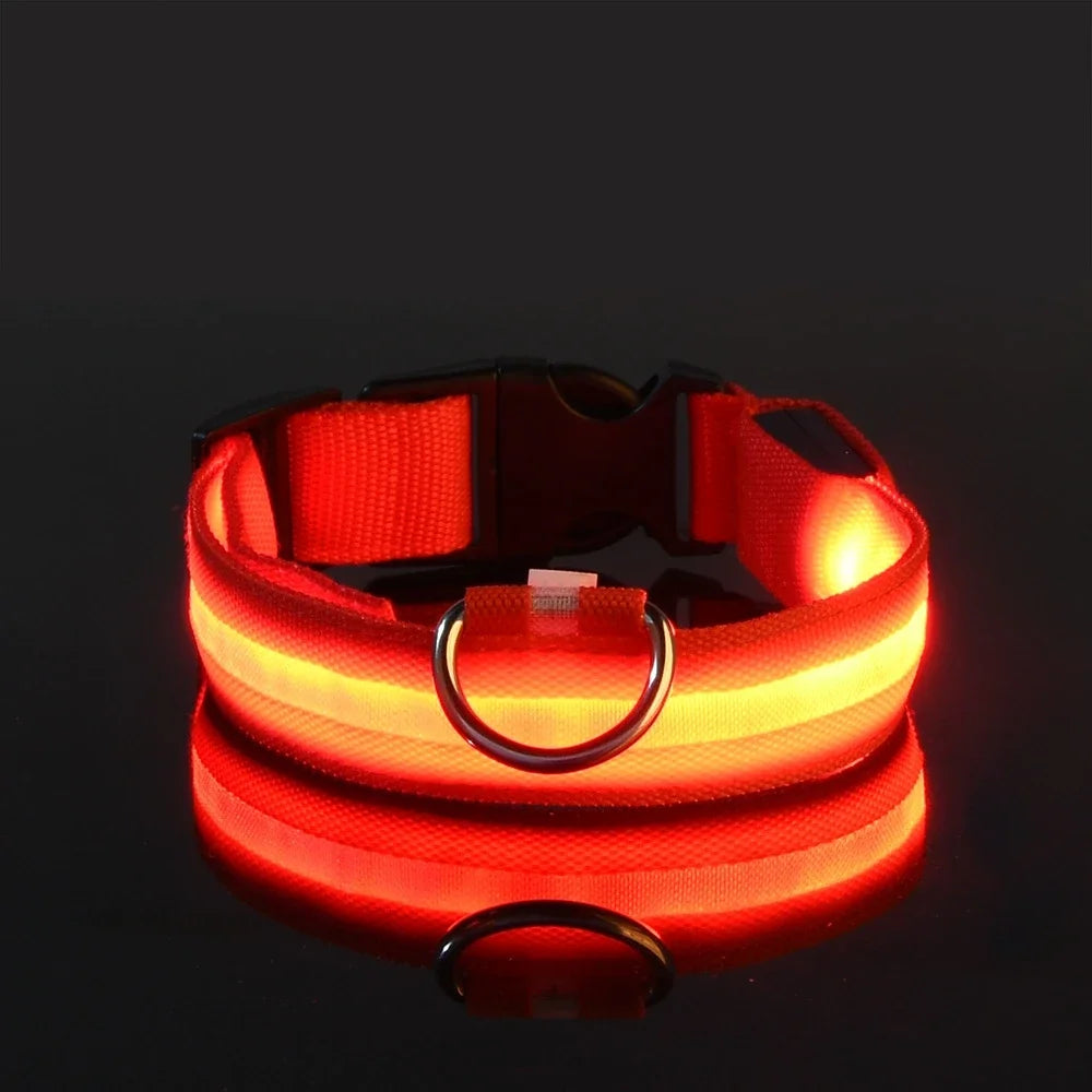NightGlow Pet Leash