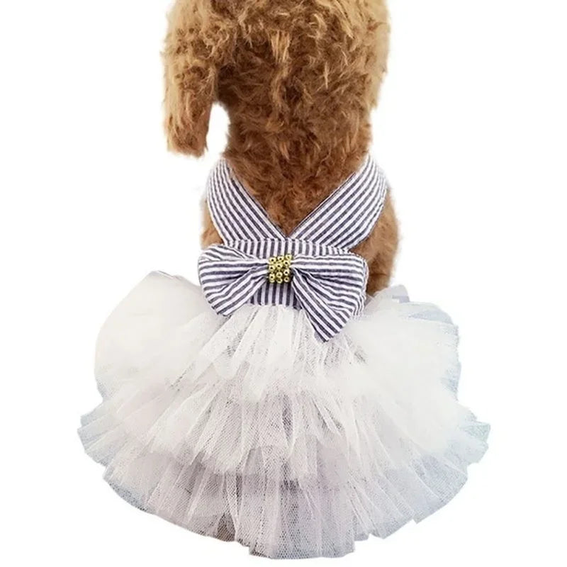 Spring Pet Summer Bowknot Pet