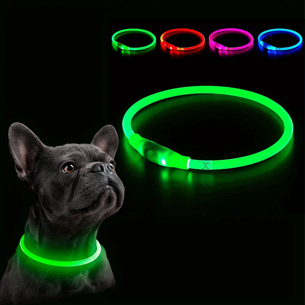 Glow Pup Collar