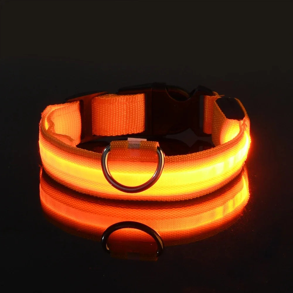 NightGlow Pet Leash