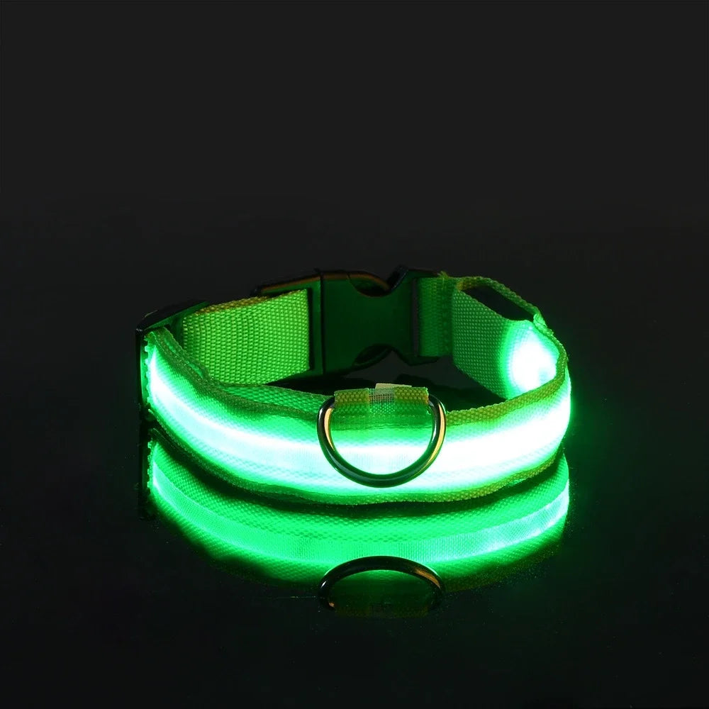 NightGlow Pet Leash